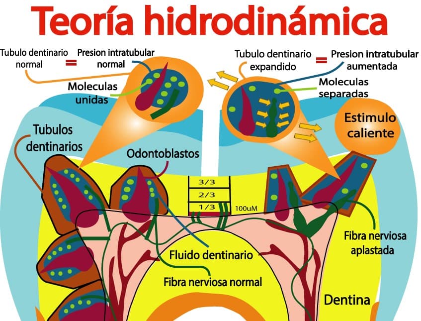 Teoría hidrodinámica ante estímulo de calor