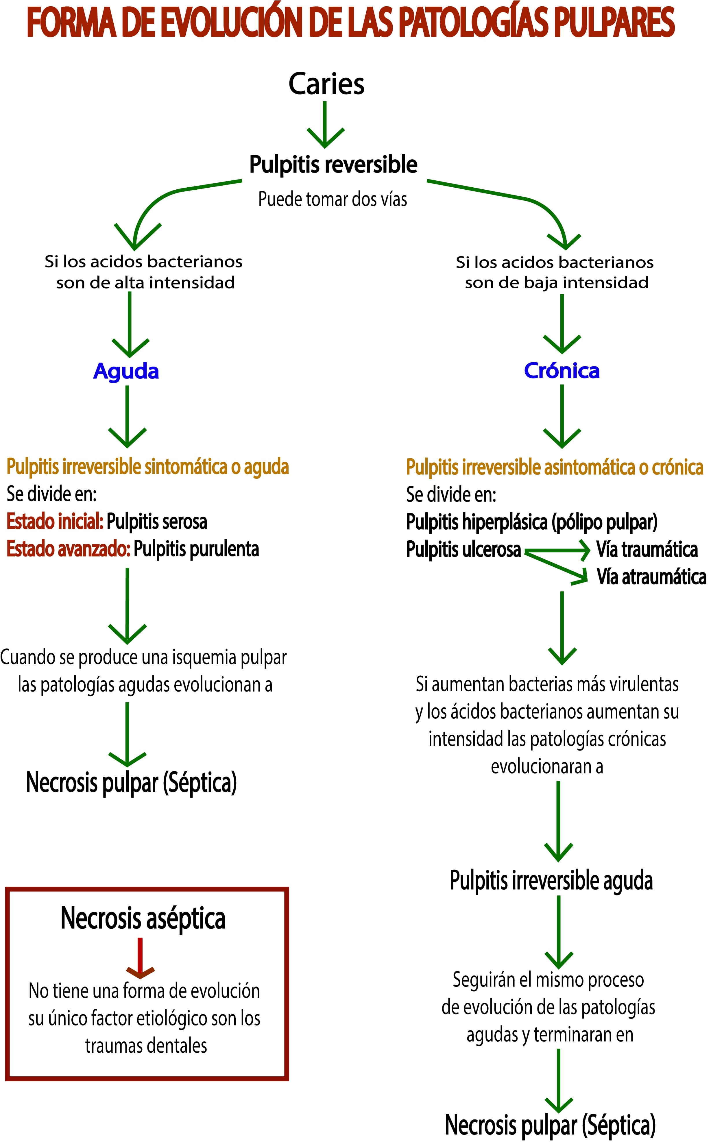 Forma de evolución de las patologías pulpares